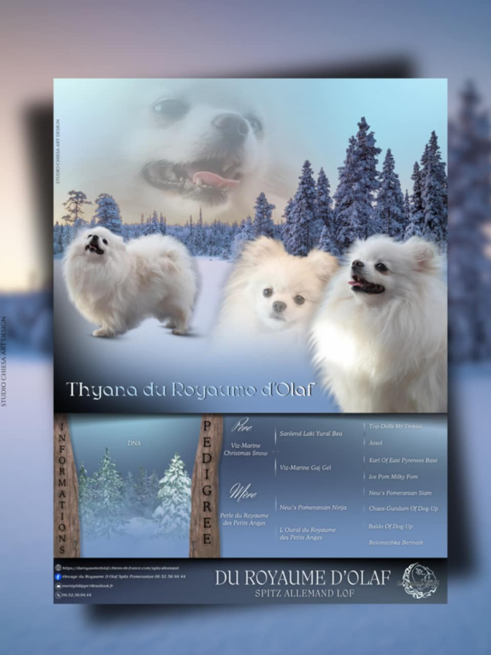 Thyana du Royaume d'Olaf