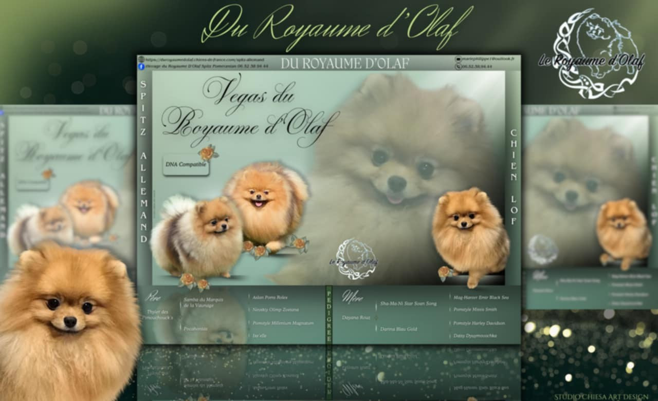 Végas du Royaume d'Olaf