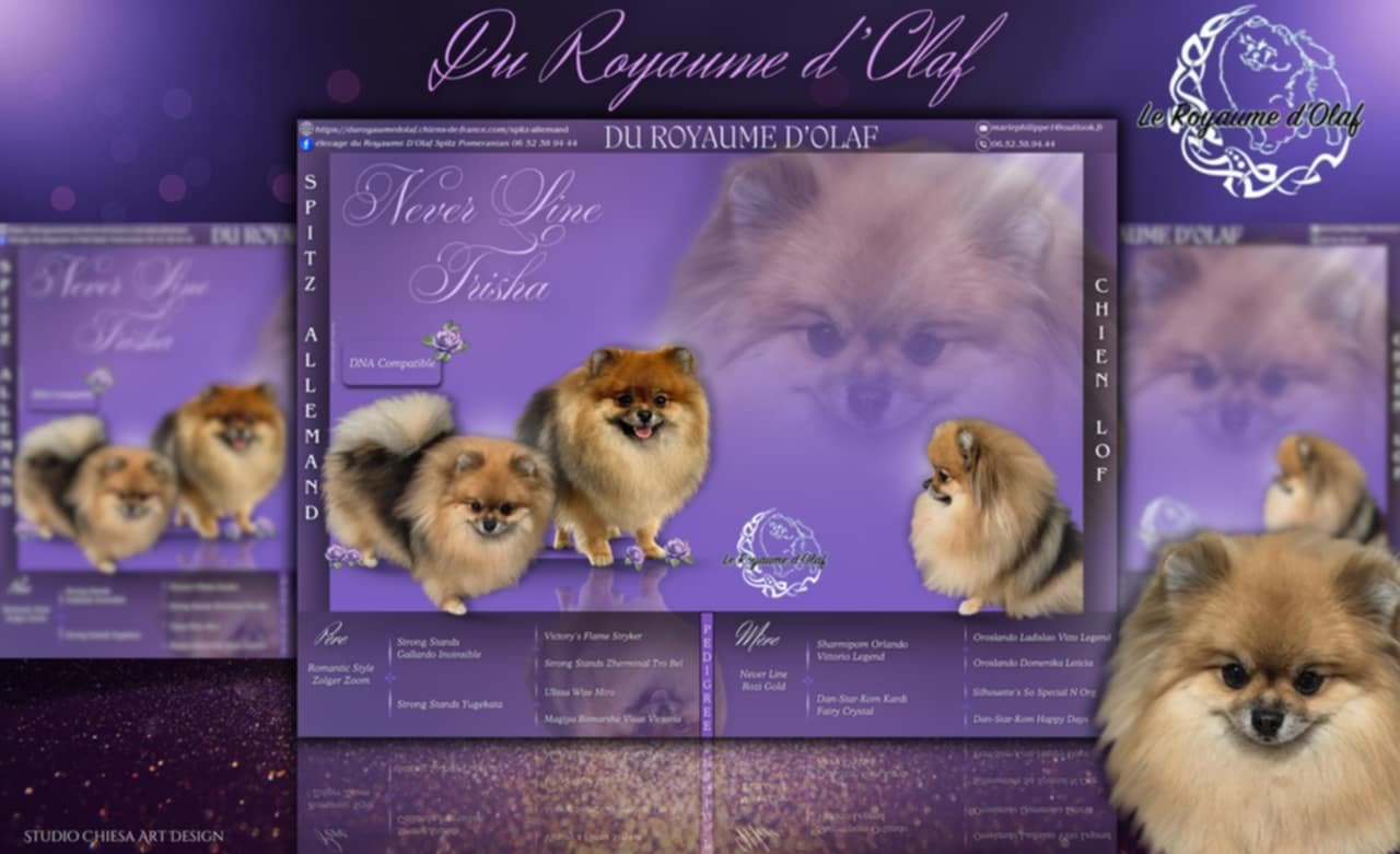 Trisha du Royaume d'Olaf